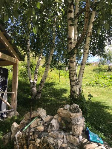 Hostal Maxvshi