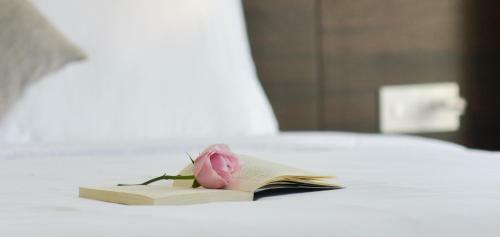 Y?n V�ng Hotel & Apartment Nha Trang - C?nh Ch? ??m