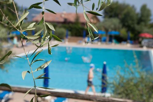 Agroturismo Agriturismo La Molara