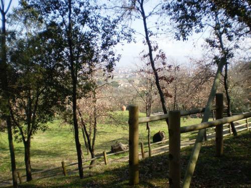 Apartamento Casa Limonaia