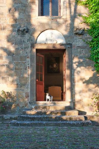 Apartamento Santa Maria A Poneta