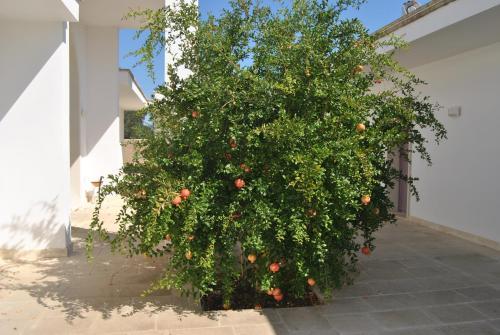 Corte Dei Melograni Hotel Resort