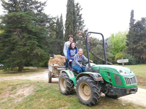 Apartamento Fioralice