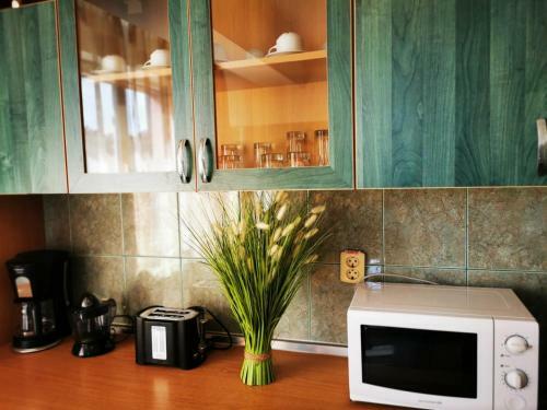 Hostal Apartamente Vila Arcadia