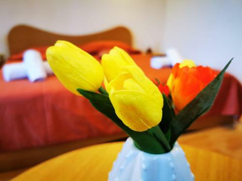 Hostal Apartamente Vila Arcadia
