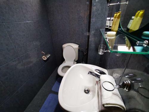 Hostal Apartamente Vila Arcadia