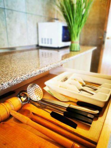 Hostal Apartamente Vila Arcadia
