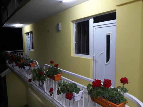 Apartmani Plavi