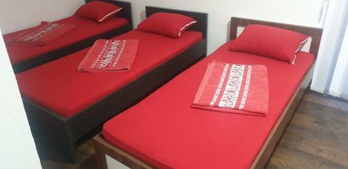 Apartmani Plavi