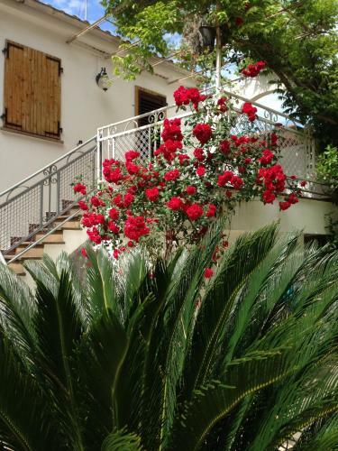 Noidue Hotel