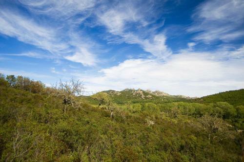 Beautiful Villa Close To The Most Beautiful Sardinian Beaches