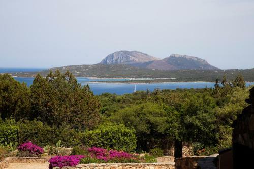 Apartamento La Stella Del Country