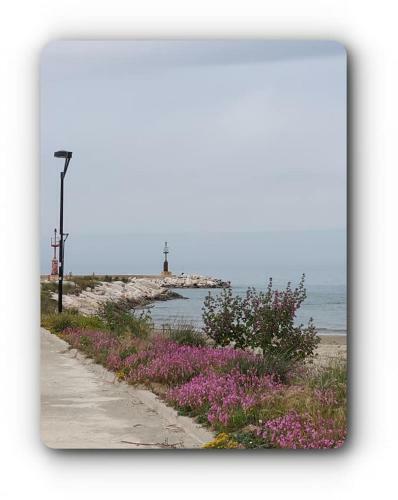 Le 4a Casa Vacanze