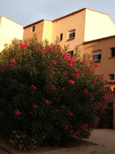 Apartamento Studio Bord De Mer