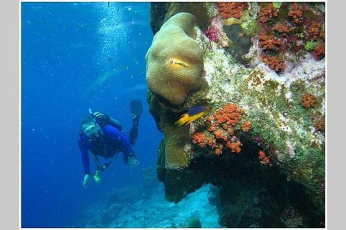 Villa Luna Bonaire