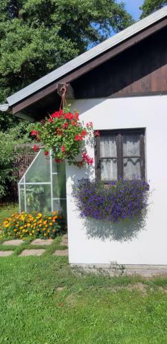 Bed & Breakfast Chalupa U Stud�nky