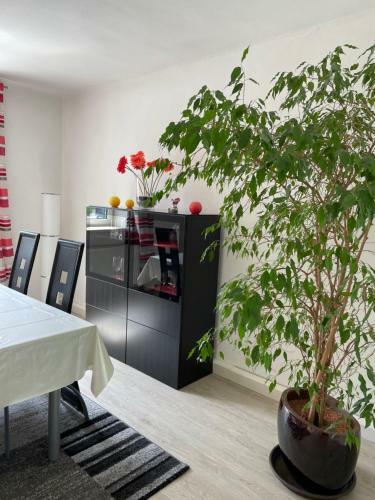 Apartamento Abendrot