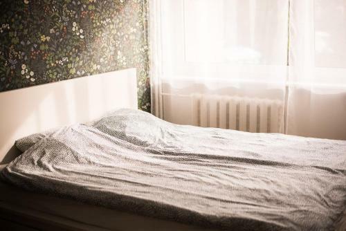 Apartamento P�llupesa