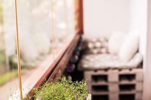 Apartamento P�llupesa