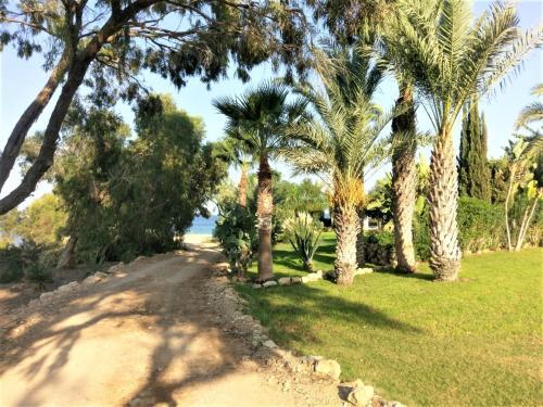 Blue Pearl Villa Protaras