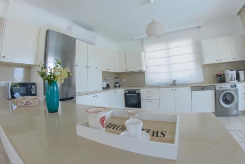 Blue Pearl Villa Protaras