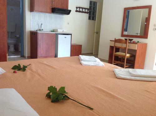 Hotel -xrisi Ammoudia