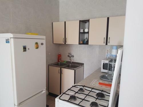 Apartman Irena