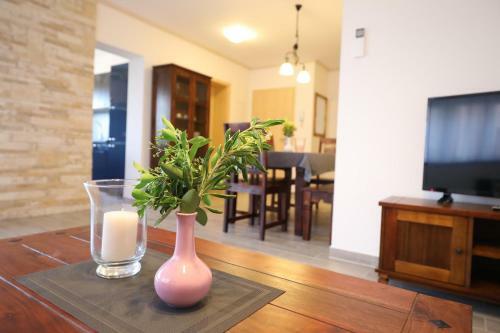 Apartments Pejanovic