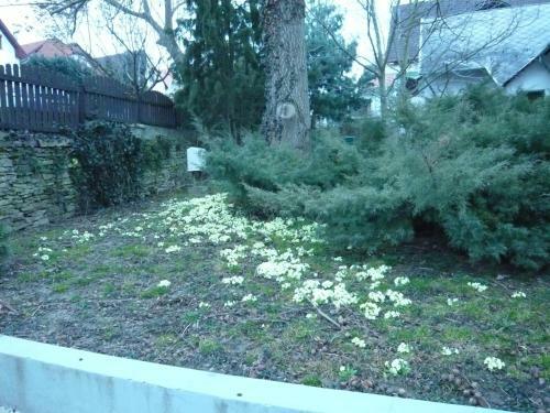 Andrea Apartman Als�p�hok