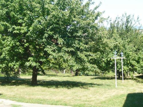 Andrea Apartman Als�p�hok