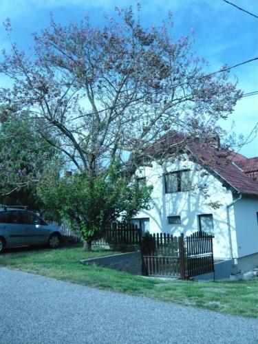 Andrea Apartman Als�p�hok