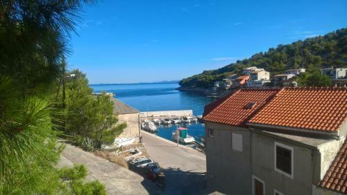 Apartamentos Zirje Accommodation