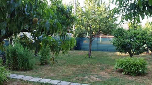 Pipacs Apartmanok