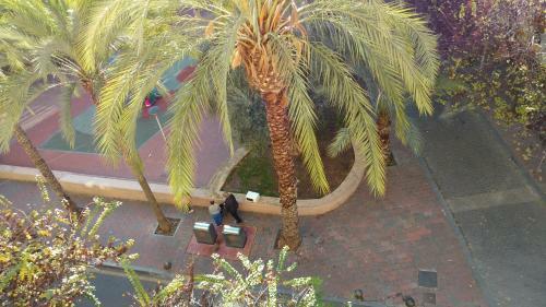 Apartamento Dise�o, Calidad, Tranquilidad, Y Muy C�ntrico