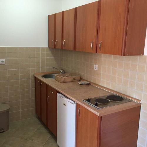 Apartmani Snezana