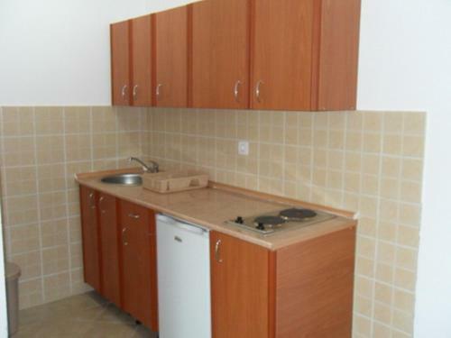 Apartmani Snezana