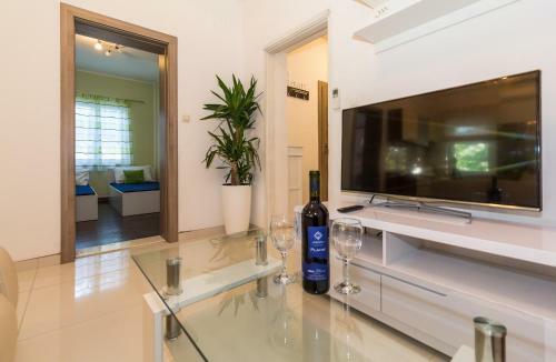 Apartment Teo