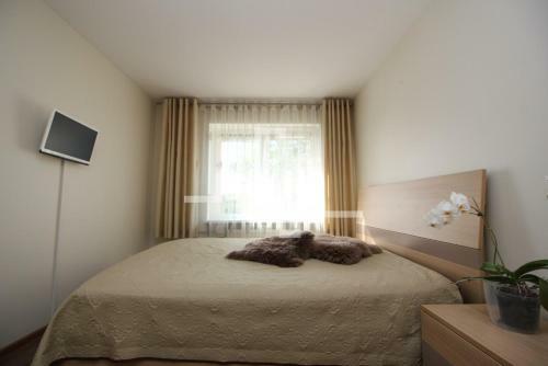 Apartamento Oldtown Jurates Str.