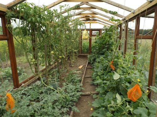 Gospodarstwo Agroturystyczne ,,przy Siole''