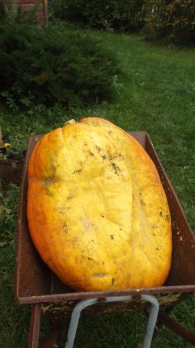 Gospodarstwo Agroturystyczne ,,przy Siole''