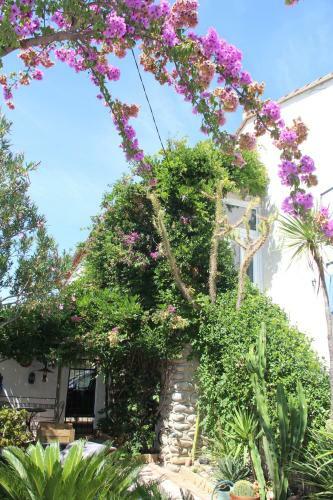 Apartamento Appartement Dans Quartier Calme Avec Jardin Pour 2 Pers