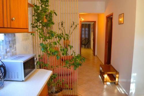 Apartamento Thalassini Avra