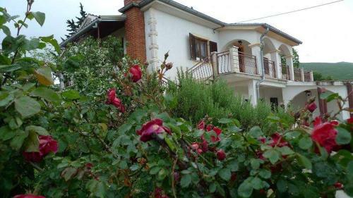 Villa ''ane''