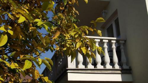 Hostal Andrea Panzi� Keszthely