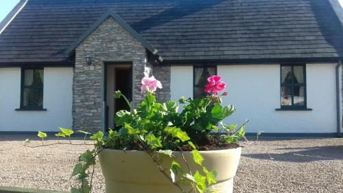 Fado Cottage Kenmare