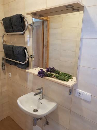 Apartamento Sauleje