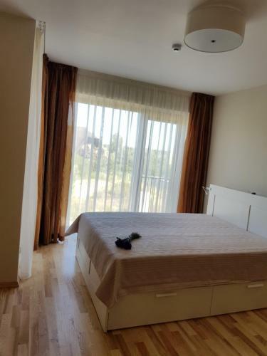 Apartamento Sauleje