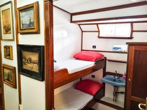 Albergue The Cabin - Haarlem