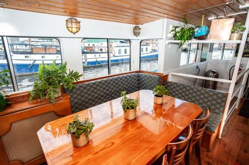 Albergue The Cabin - Haarlem