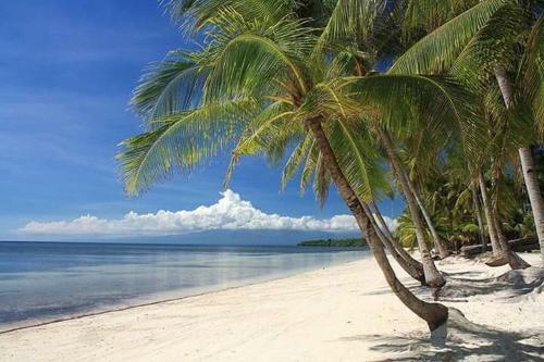 Hostal Diamond De Siquijor Beach House